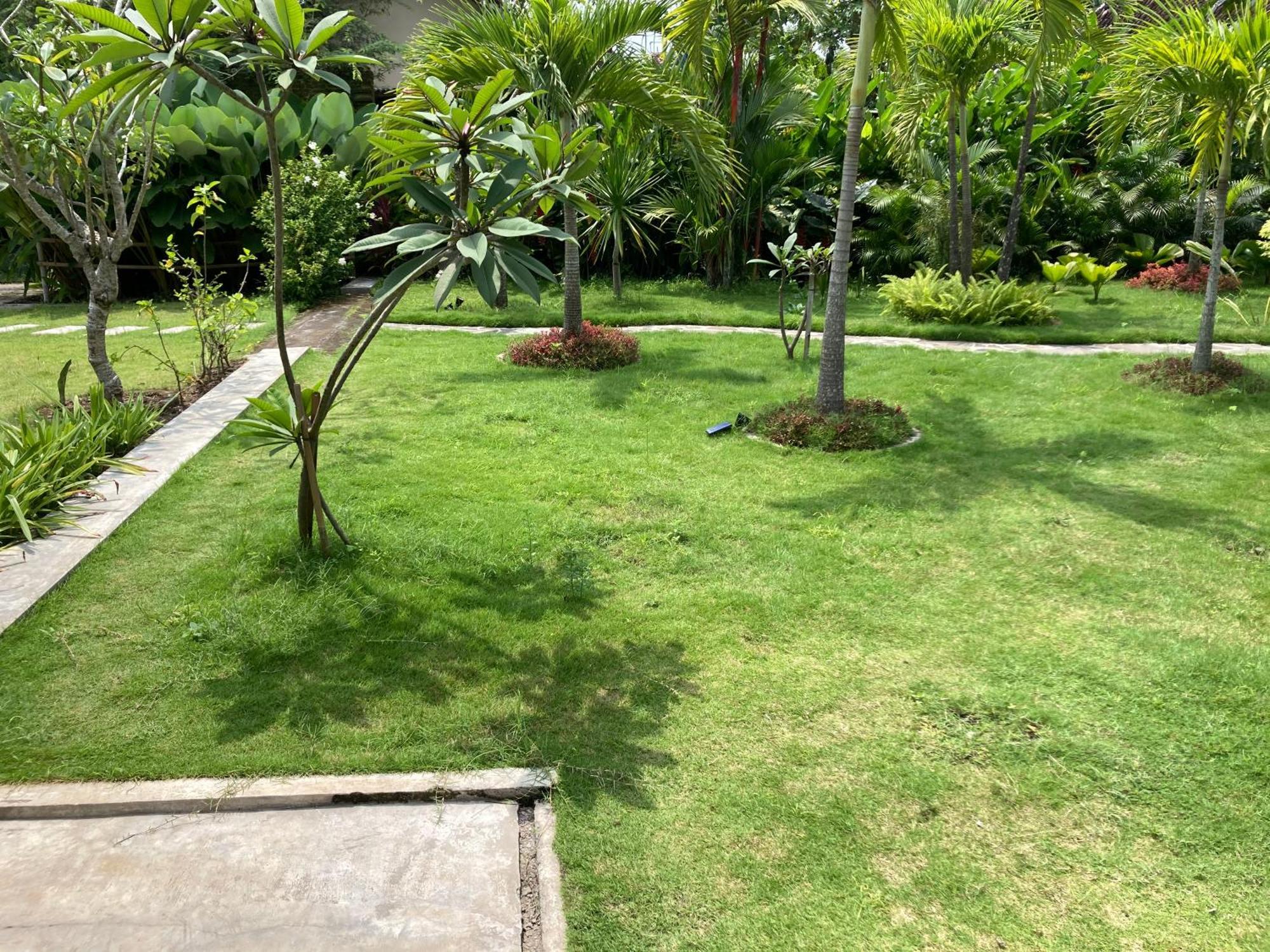 Tanjungtirto Ohmmstay - Rumah Pendopo מראה חיצוני תמונה