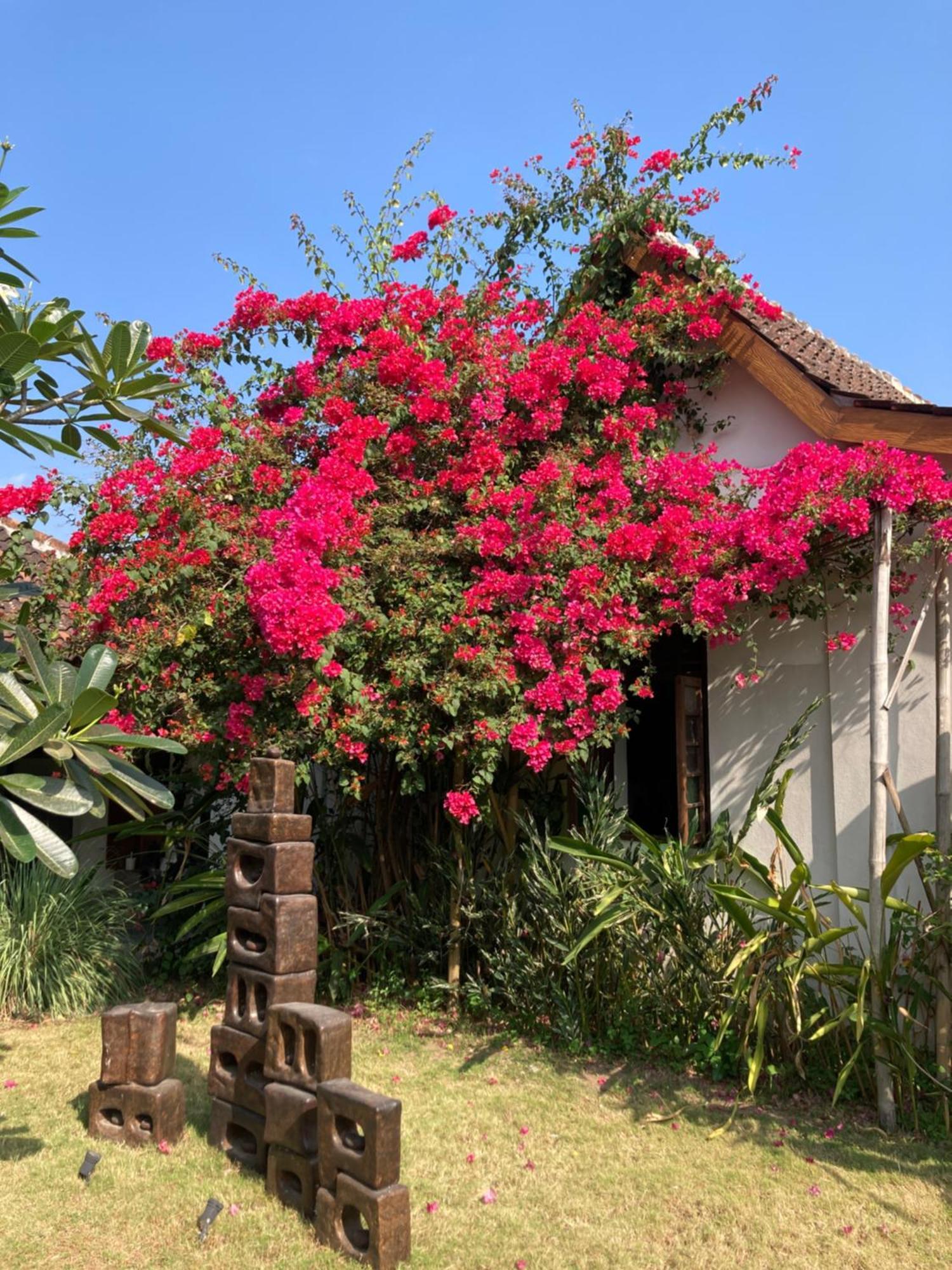 Tanjungtirto Ohmmstay - Rumah Pendopo מראה חיצוני תמונה
