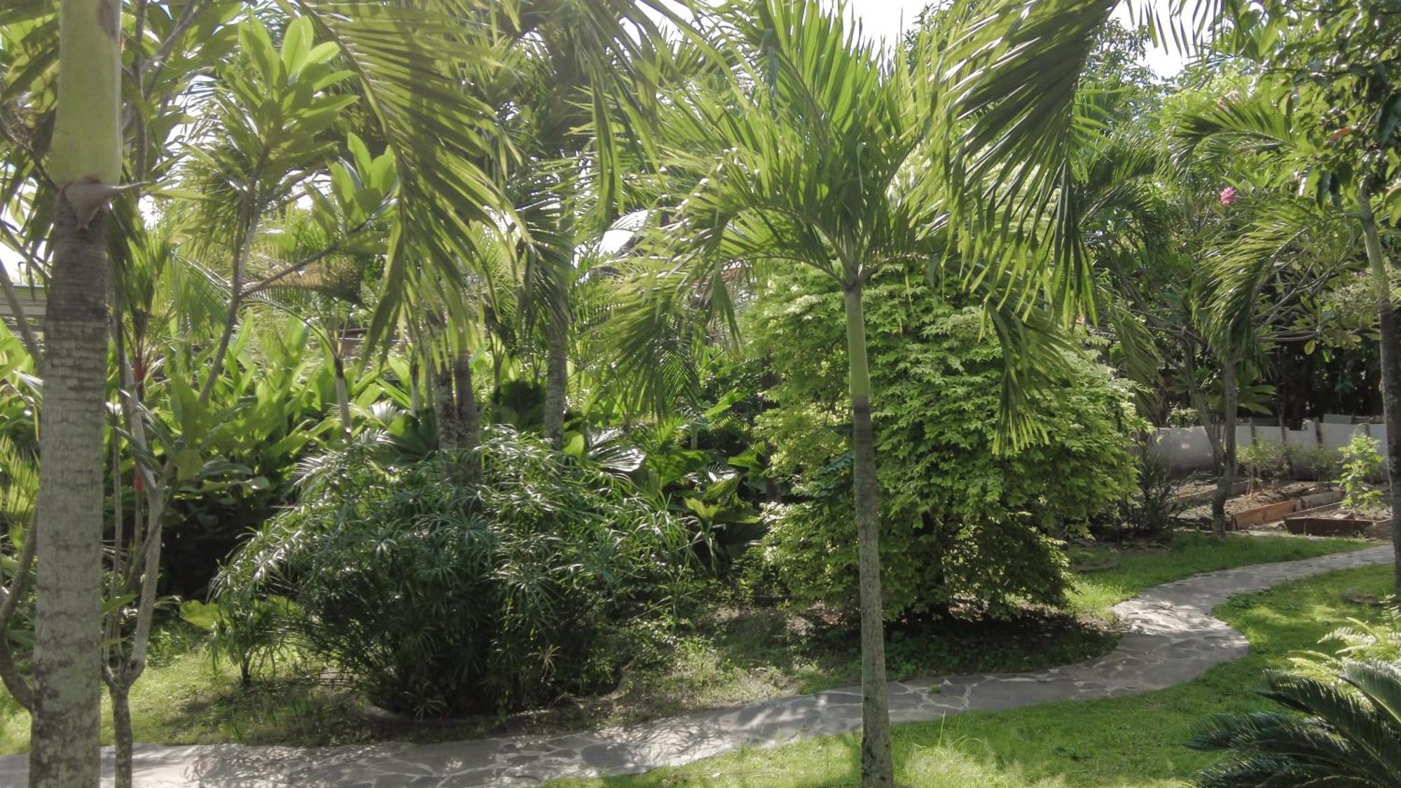 Tanjungtirto Ohmmstay - Rumah Pendopo מראה חיצוני תמונה